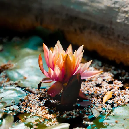 Volo Country Montecastrilli